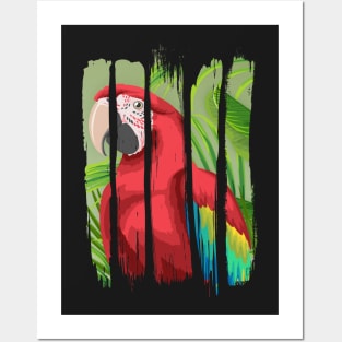 Colorful macaw Posters and Art